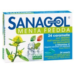 Named Sanagol Menta Fredda 24 Caramelle