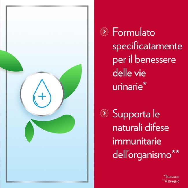 Bayer Gyno-canescystil Cistipro 14 Bustine