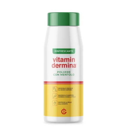 Istituto Ganassini Vitamindermina Polvere Mentolo 100 G