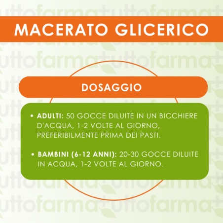 Hering Cedrus Libani Ger Macerato Glicerico 60 Ml Hering Cedrus Libani Ger Macerato Glicerico 60 Ml