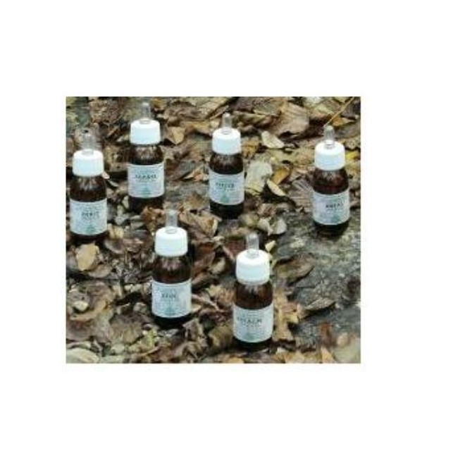 Alchemica Valgelata Ka12 Olio Massaggio 30 Ml Alchemica Valgelata Ka12 Olio Massaggio 30 Ml