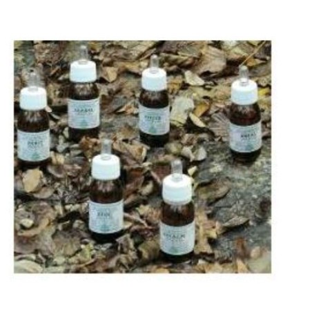 Alchemica Valgelata Ka12 Olio Massaggio 30 Ml Alchemica Valgelata Ka12 Olio Massaggio 30 Ml