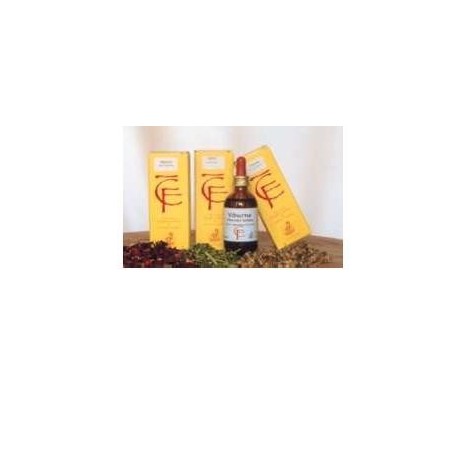 Cento Fiori Ribes Gemme Macerato Glicerico 100 Ml Cento Fiori Ribes Gemme Macerato Glicerico 100 Ml