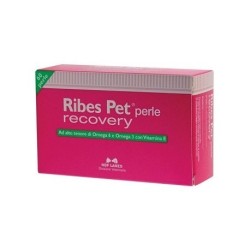 Nbf Lanes Ribes Pet Recovery Blister 60 Perle