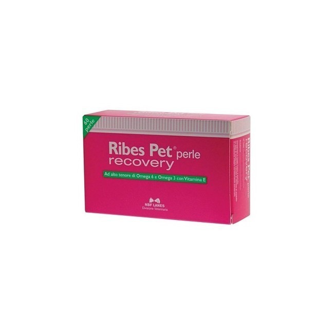 Nbf Lanes Ribes Pet Recovery Blister 60 Perle