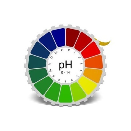 Bm Farmaceutici Cartina Tornasole Ph 1-11