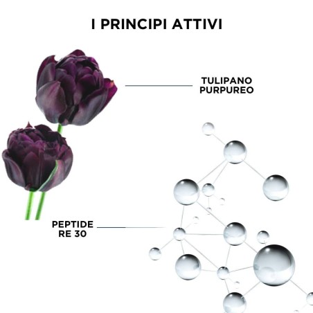 Phyto Re30 Siero 50 Ml