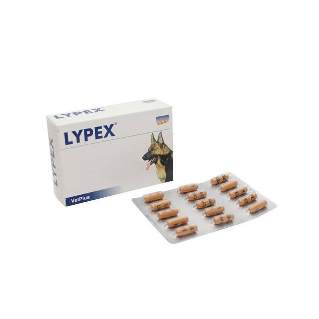 Vetplus Lypex 60 Capsule