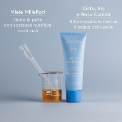 Apivita Aqua Beelicious Comfort Hydrating Cream 40 Ml/19