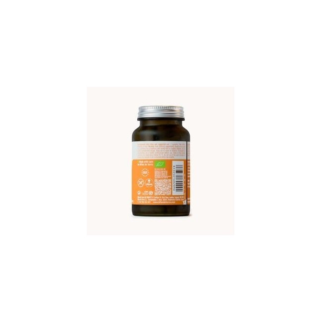 Hifas Da Terra Hifas Detox 60 Capsule