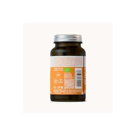 Hifas Da Terra Hifas Detox 60 Capsule