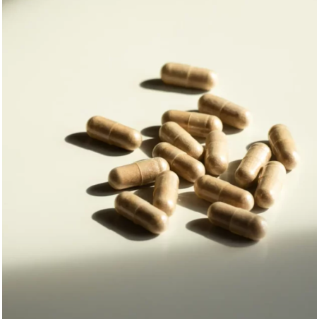 Hifas Da Terra Hifas Detox 60 Capsule