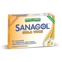 Named Sanagol Gola Voce Miele Limone 24 Caramelle