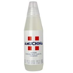 Angelini Amuchina Liquida 100% Disinfettante Igienizzante A Base Di Ipoclorito Di Sodio Antimicrobico Ad Ampio Spettro D'azione 