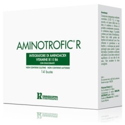 Errekappa Euroterapici Aminotrofic R 14 Buste