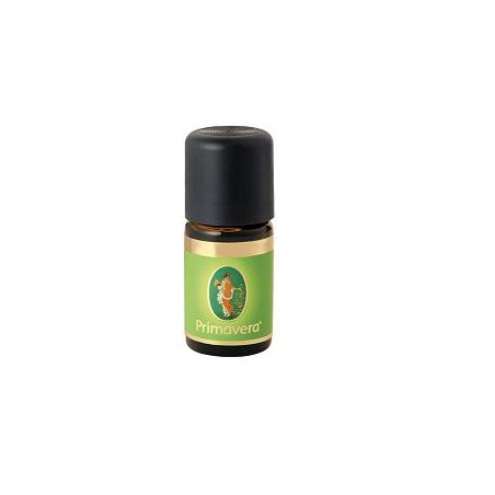 Flora Cannella Corteccia 60% Olio Essenziale Bio 5 Ml