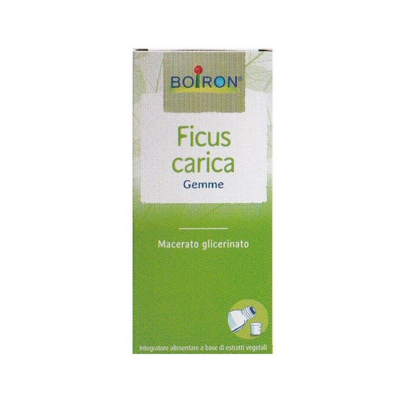 Boiron Ficus Carica Gemme Macerato Glicerinato 60 Ml Int Boiron Ficus Carica Gemme Macerato Glicerinato 60 Ml Int
