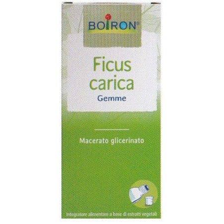 Boiron Ficus Carica Gemme Macerato Glicerinato 60 Ml Int Boiron Ficus Carica Gemme Macerato Glicerinato 60 Ml Int
