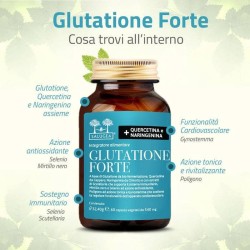 Salugea Glutatione Forte 60 Capsule