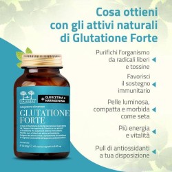 Salugea Glutatione Forte 60 Capsule